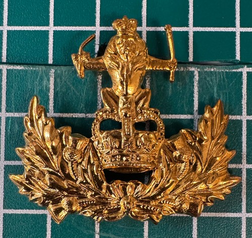 Queens own royal glasgow - own,