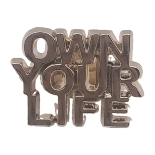 Own your life gold tone - tone, pin