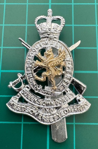 Queens own dorset west - dorset,