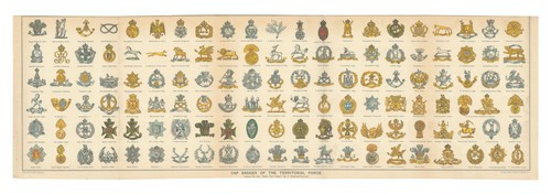 Cap badges the territorial - badges,