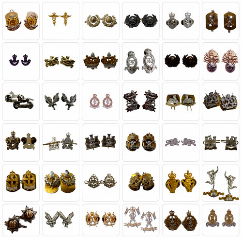 Collar dogs and lapel badges - lapel,