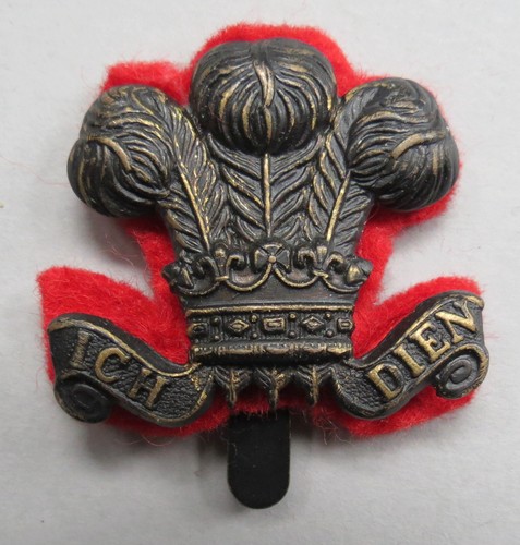 Military cap badge 15th - badge,